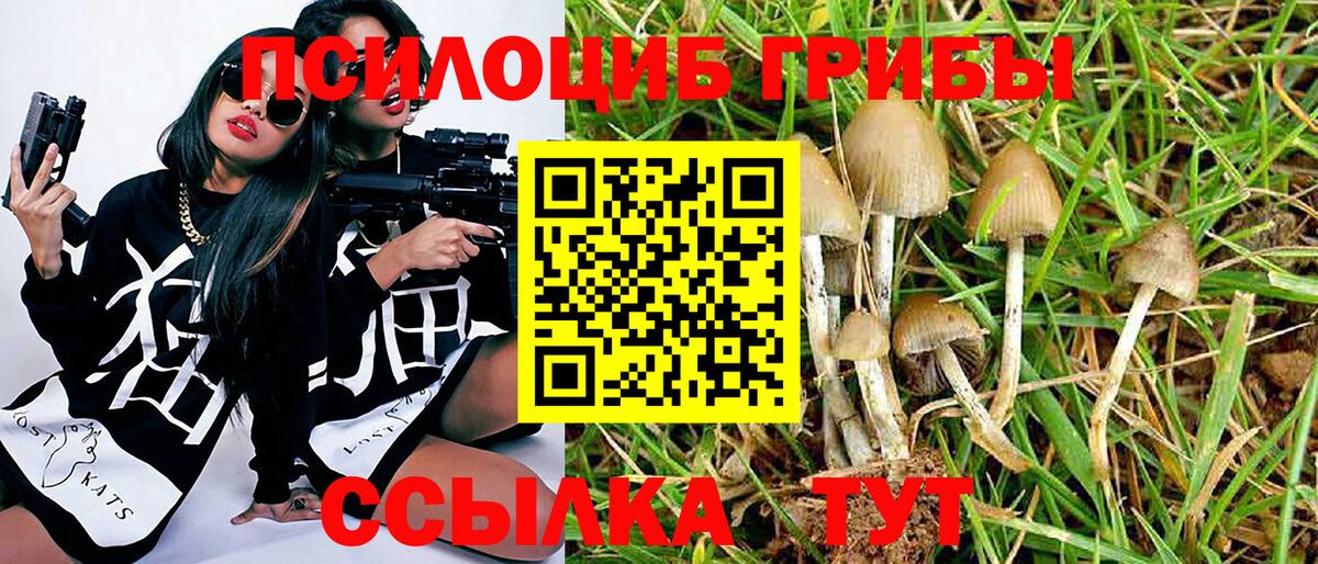 Уварово  Галлюциногенные грибы GOLDEN TEACHER  Вход с VPN 